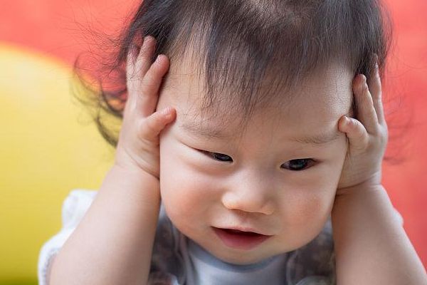 红河有人需要找女人生孩子吗 有人需要找男人生孩子吗